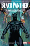 Black Panther: A Nation Under Our Feet, Vol. 1