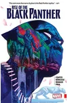 Rise of the Black Panther
