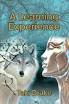 A Learning Experience