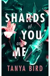 Shards of You and Me