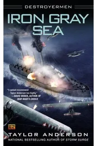 Iron Gray Sea