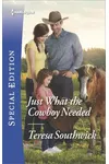 Just What the Cowboy Needed