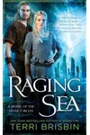 Raging Sea