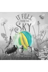 It Fell from the Sky