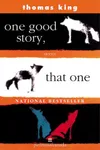 One Good Story, That One
