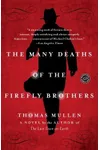 The Many Deaths of the Firefly Brothers