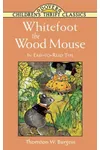Whitefoot the Wood Mouse