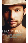 Picture Perfect Cowboy