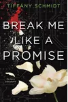 Break Me Like a Promise
