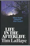 Life in the Afterlife