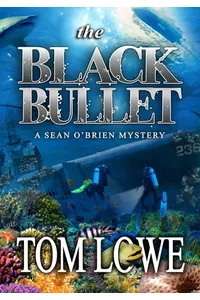 The Black Bullet