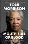 Mouth Full of Blood: Essays, Speeches, Meditations