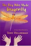 The Boy Who Made Dragonfly