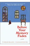 Before Your Memory Fades