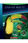 Amazing Animals Of The Rainforest