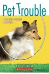 Smarty-Pants Sheltie