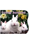 Funny Bunnies