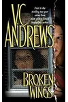 Broken Wings