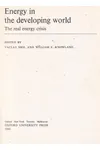 Energy In The Developing World: The Real Energy Crisis