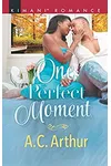 One Perfect Moment