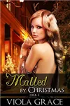 Malled by Christmas
