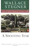 A Shooting Star