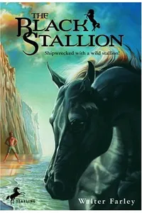 The Black Stallion