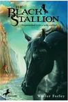 The Black Stallion