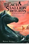 The Black Stallion Returns