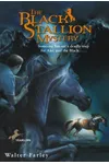 The Black Stallion Mystery