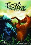 The Black Stallion and Flame