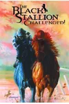The Black Stallion Challenged
