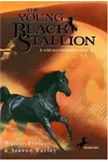 The Young Black Stallion