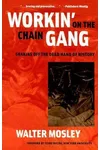 Workin' on the Chain Gang