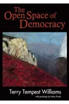 The Open Space of Democracy