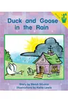 Duck and Goose in the Rain