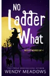 No Ladder What