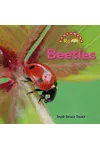 Beetles