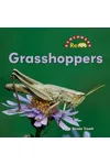 Grasshoppers