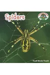 Spiders