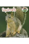 Squirrels