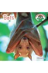 Bats