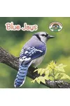 Blue Jays