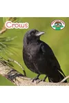 Crows