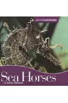 Seahorses
