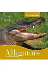 Alligators