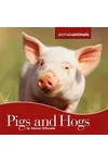 Pigs and Hogs