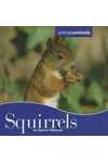 Squirrels