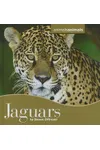 Jaguars