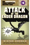 Attack of the Ender Dragon